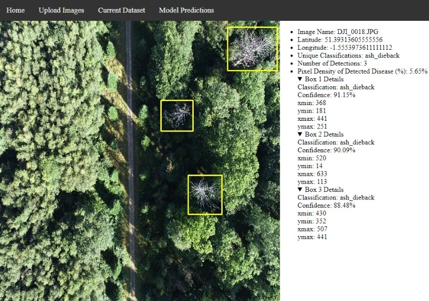Detection of ash dieback