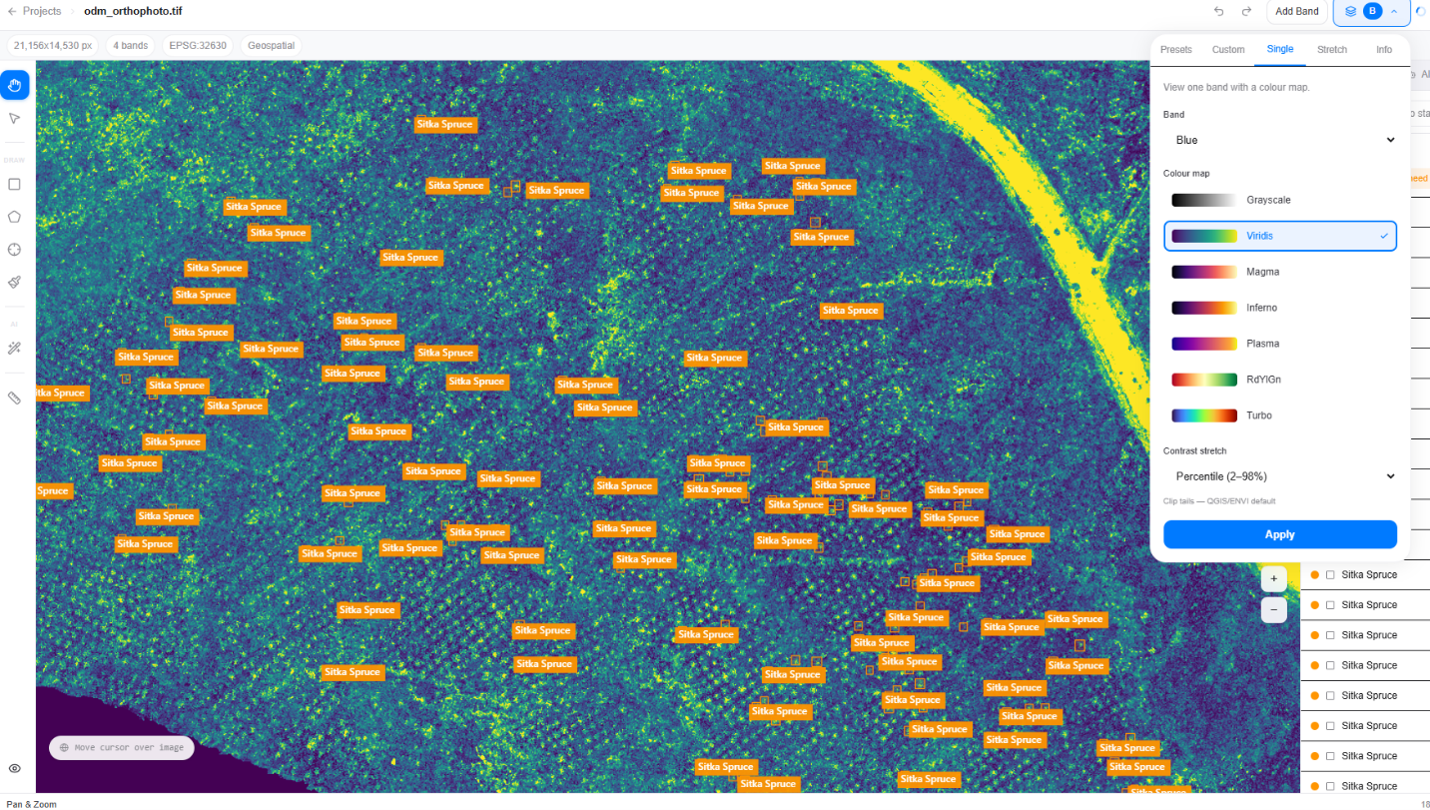 Multispectral Image Rendering